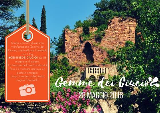 gemme-ciucioi-lavis