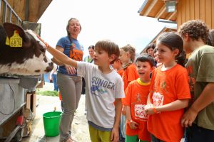 festival-del-gioco-alpe-cimbra