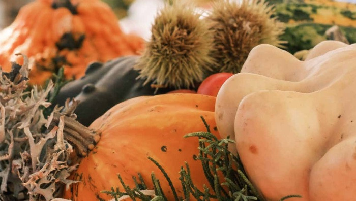 Festa della Zucca 2026: Pergine entra dentro l’autunno