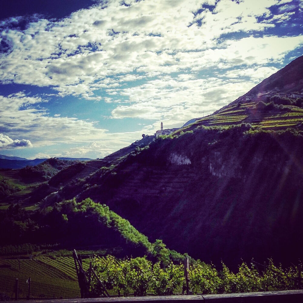 E-state  nell’Altopiano di Pinè e Valle di Cembra!
