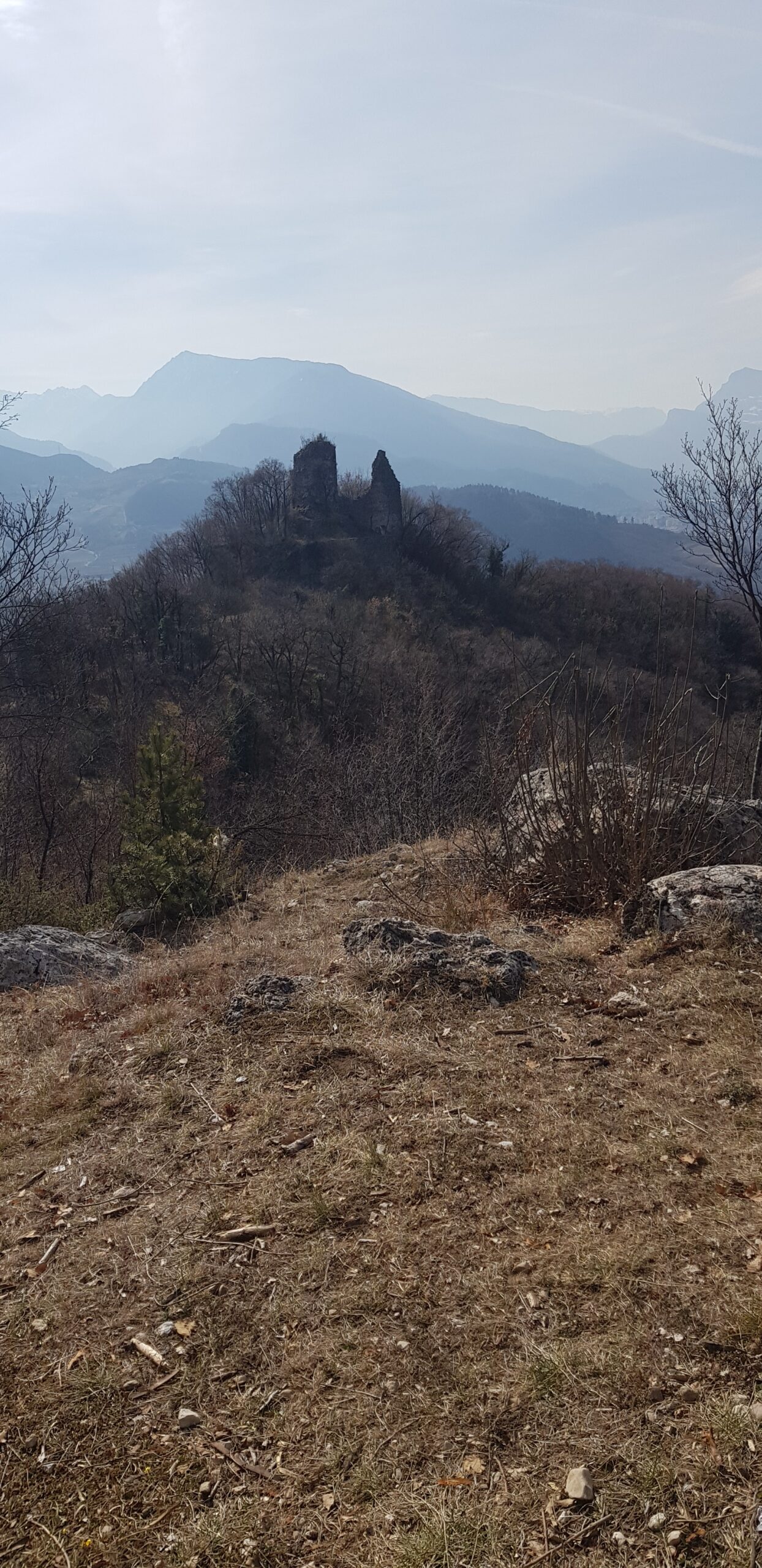 DA CASTEL BARCO A SERVIS