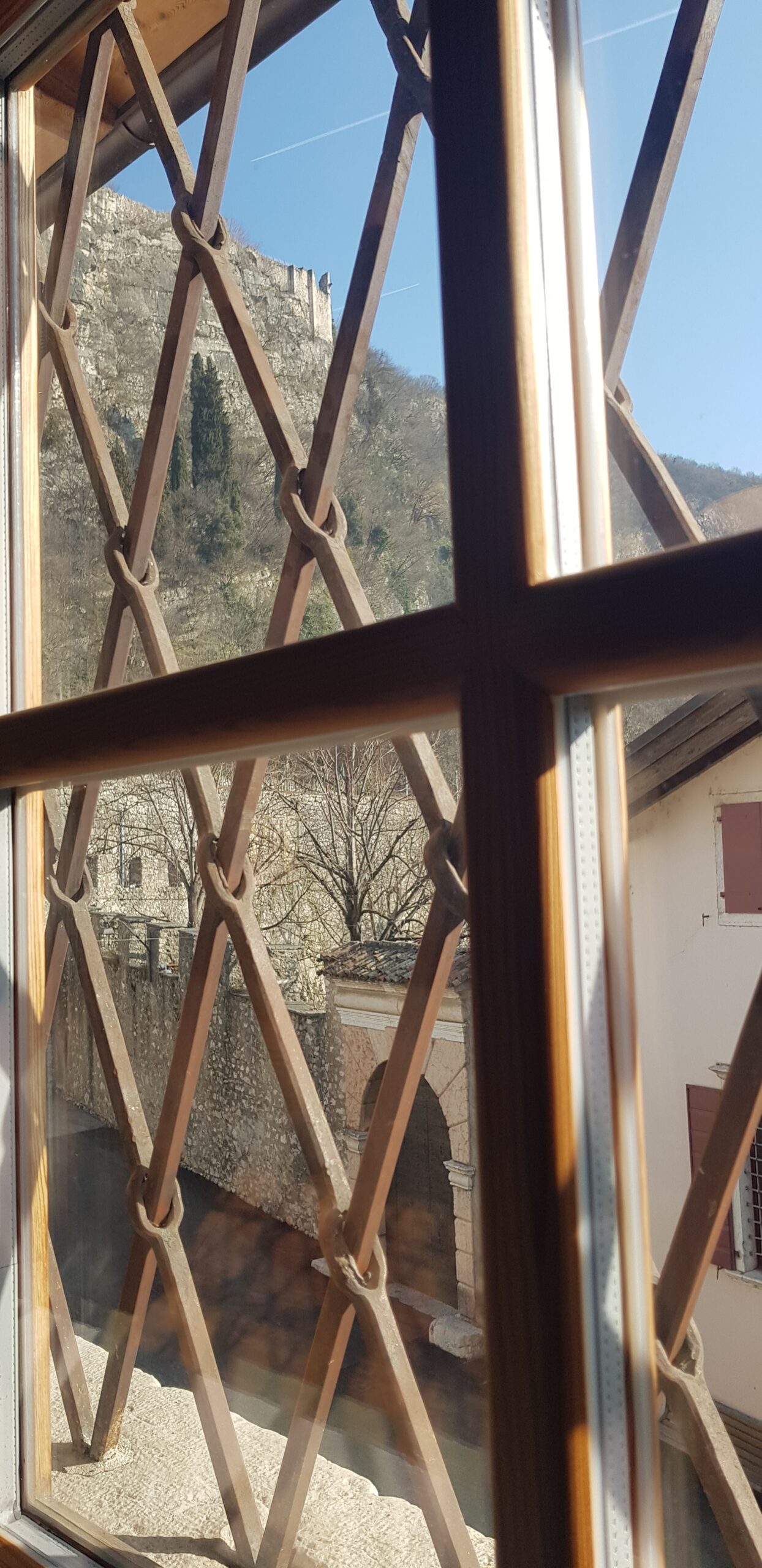 IL GRANAIO DI NOMI OSPITA ALBERI OLTRE IL VISIBILE