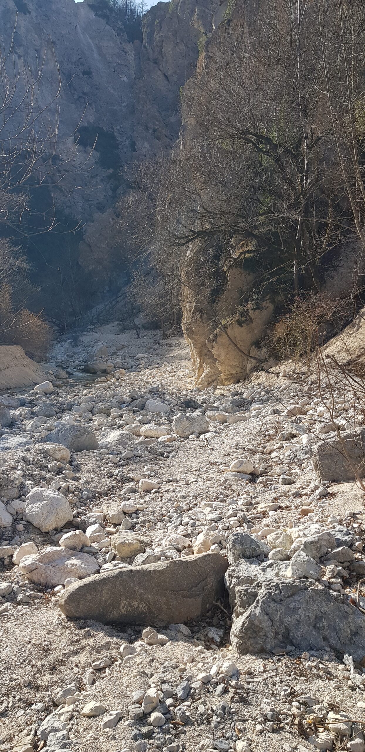 VALLE DI CENTA FRA NATURA E STORIA