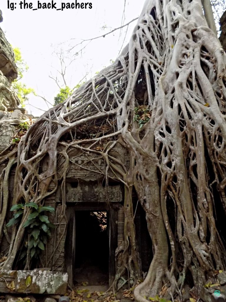 ANGKOR SMART: UNA GUIDA PER EVITARE LE ORDE DI TURISTI
