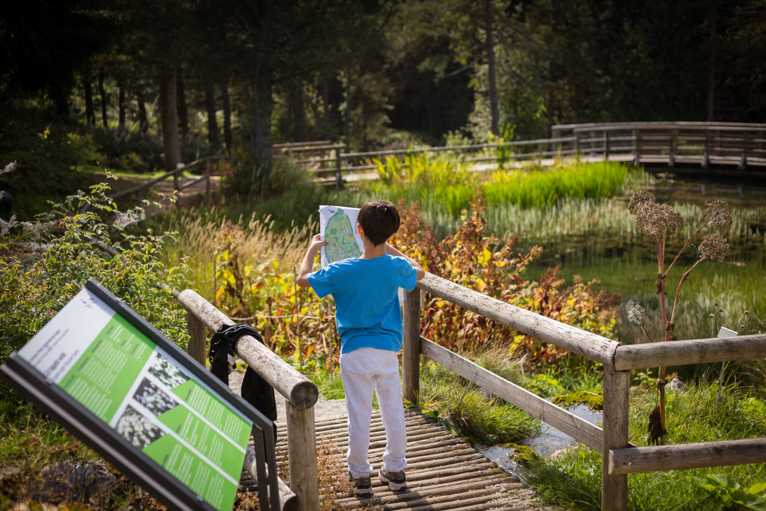 L’ESTATE AL GIARDINO BOTANICO – MONTE BONDONE