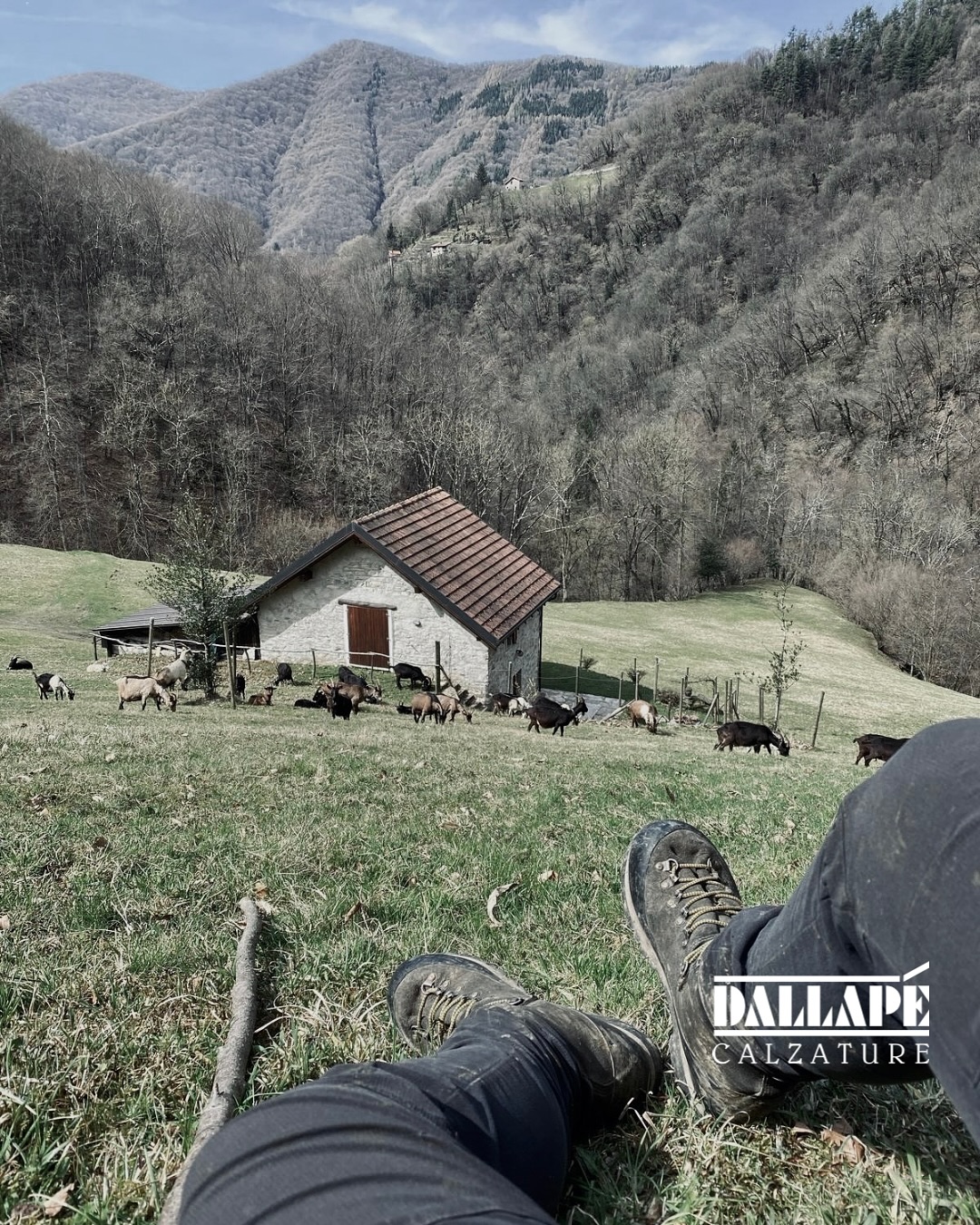 CAMMINARE NEL BENESSERE: L’ARTE DELLE CALZATURE ARTIGIANALI DALLAPE’