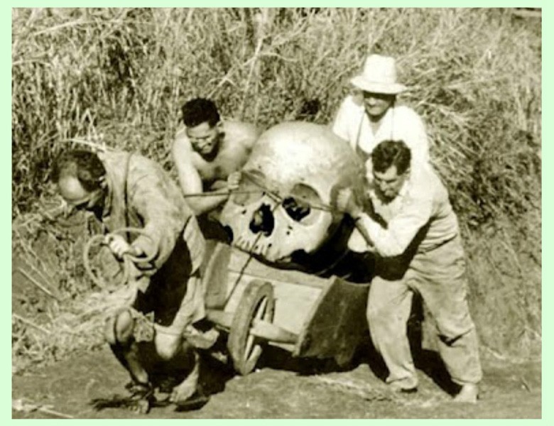 Giganti della Sardegna, Nefilim e 13 Famiglie: tra mito e archeologia