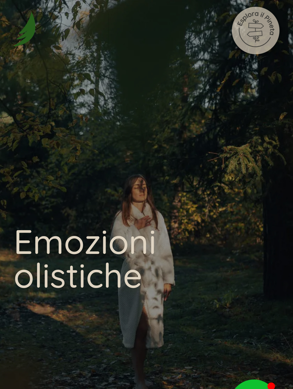 EMOZIONI OLISTICHE