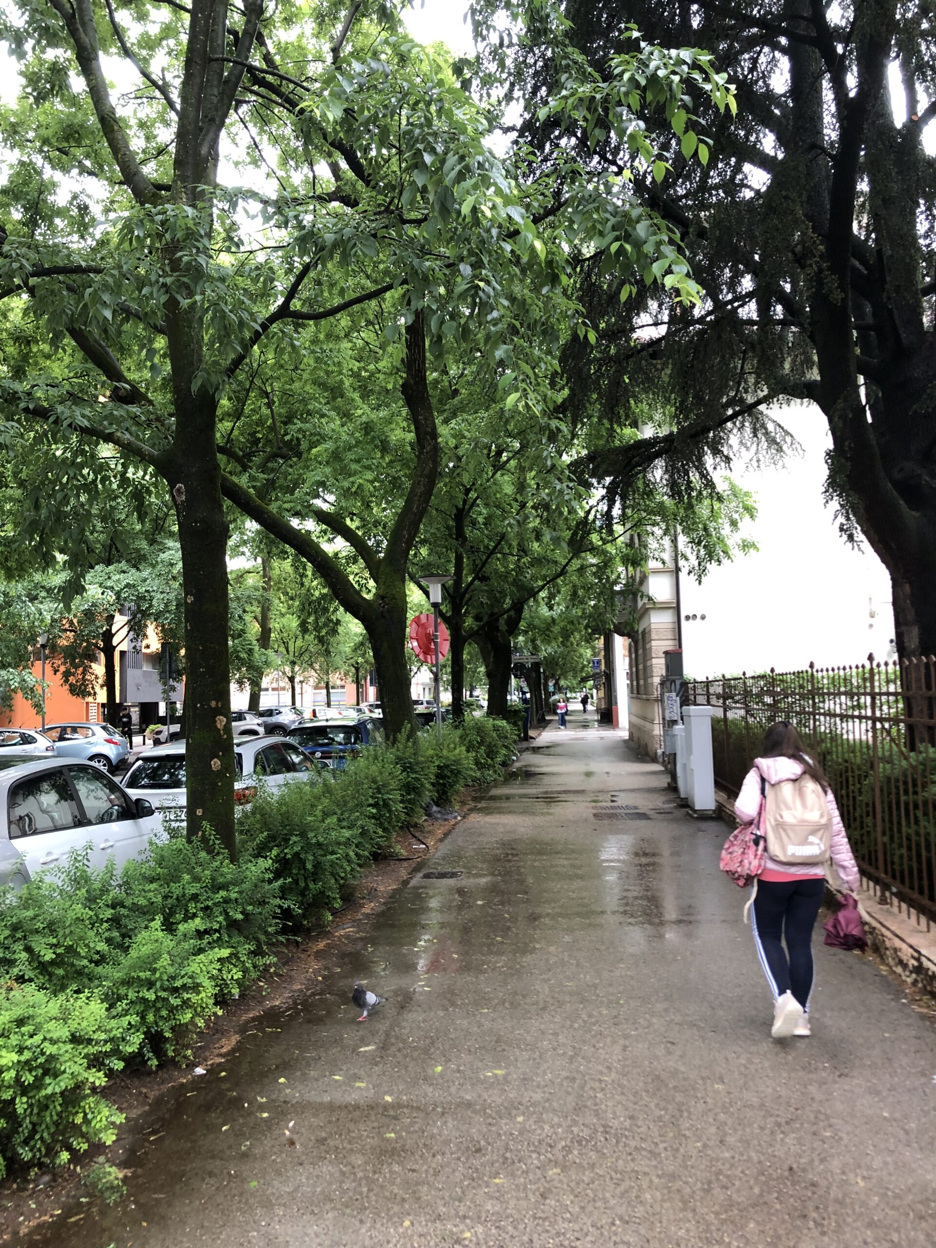 L’ULTIMA VERA VIA DI TRENTO