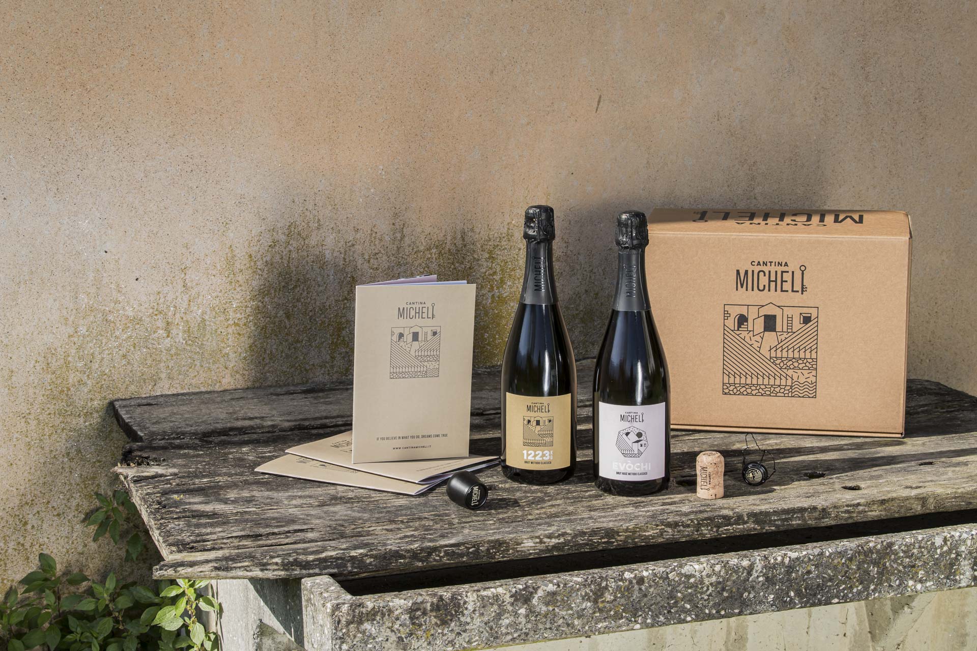 CANTINA MICHELI: QUANDO LA VALLE DI CEMBRA PARLA ED IL VINO RISPONDE