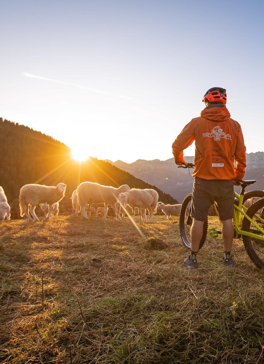 IN VAL DI SOLE L’ESPERIENZA DI BICI DIVENTA “WOW”