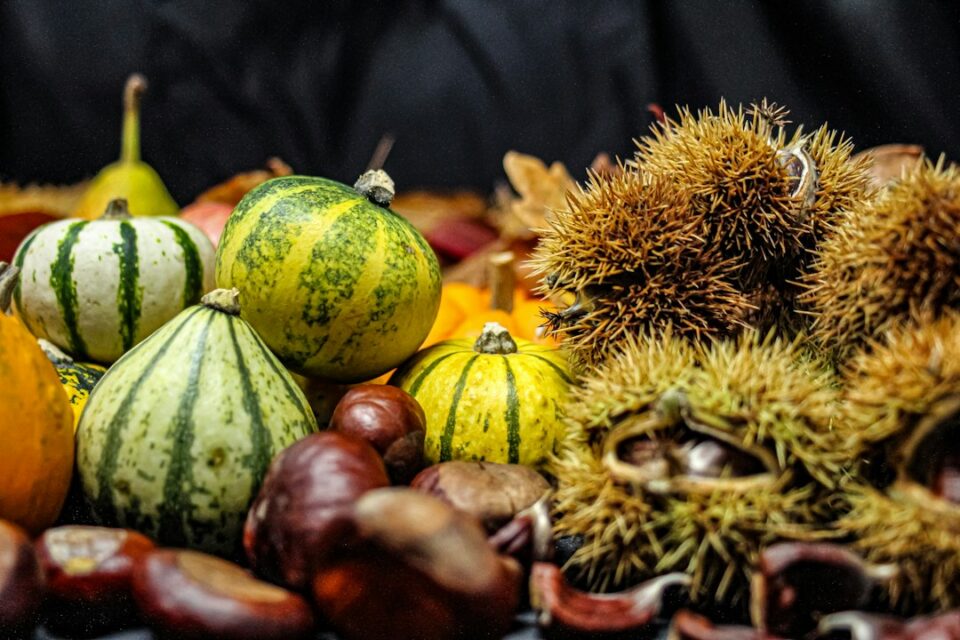 Ricette autunnali 2026: 10 idee facili con zucca, funghi, castagne e mele