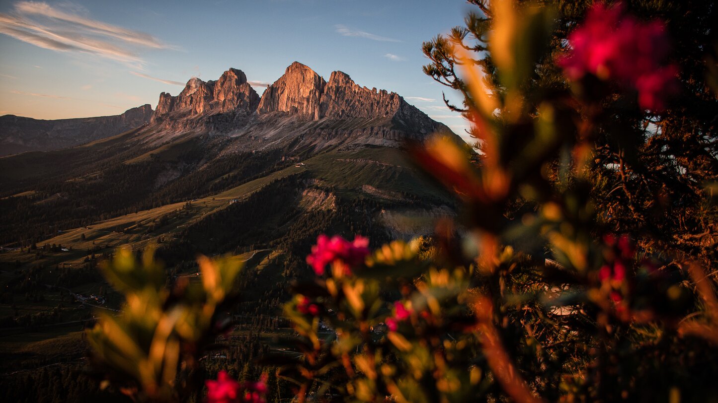 QUESTO ARTICOLO TI STUPIRA’: DAL LIBRO DELLA GENESI ALLE LEGGENDE DELLE DOLOMITI