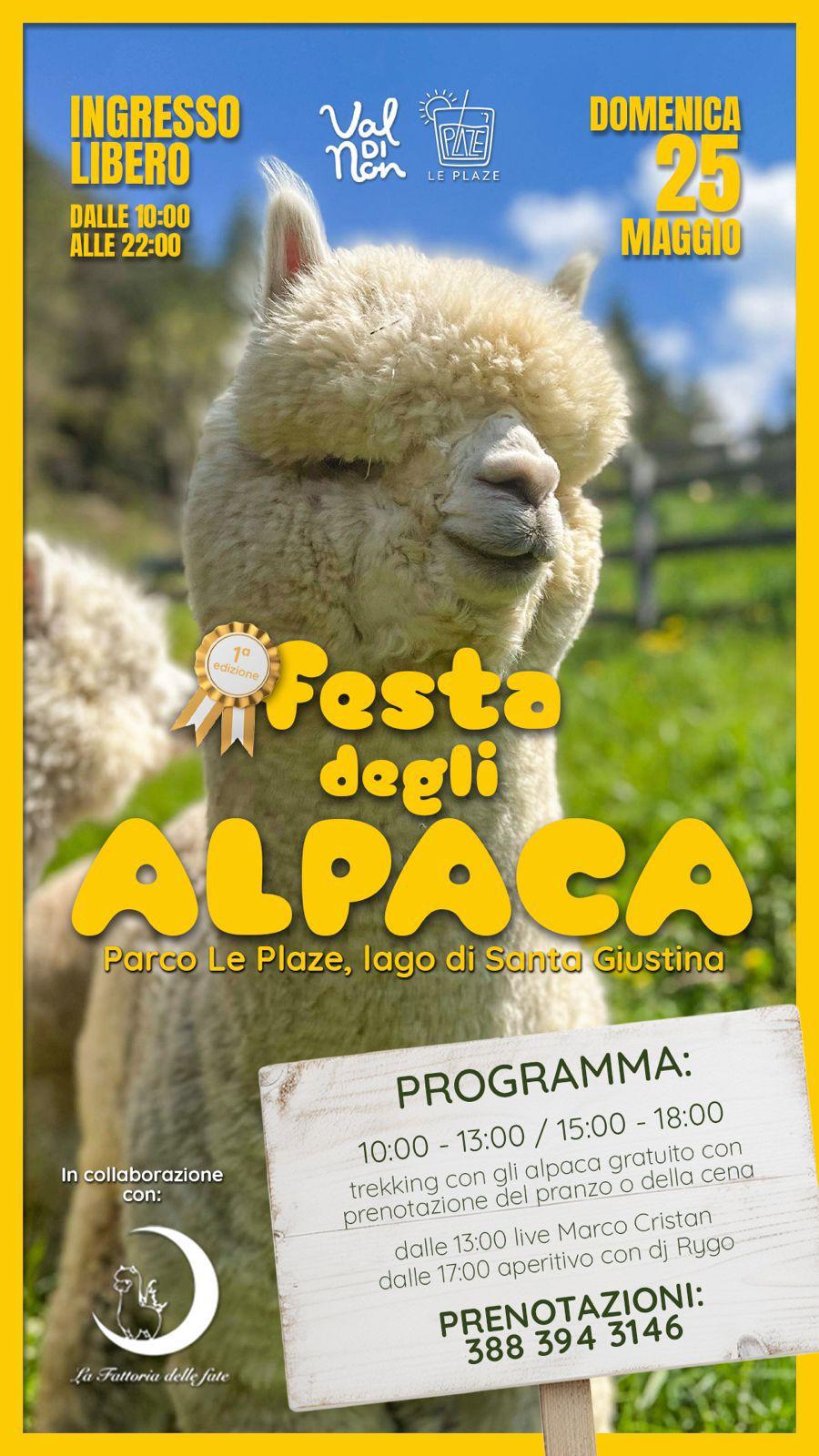 LA MAGIA DEGLI ALPACA SULLE RIVE DEL LAGO. ECCO QUALE: