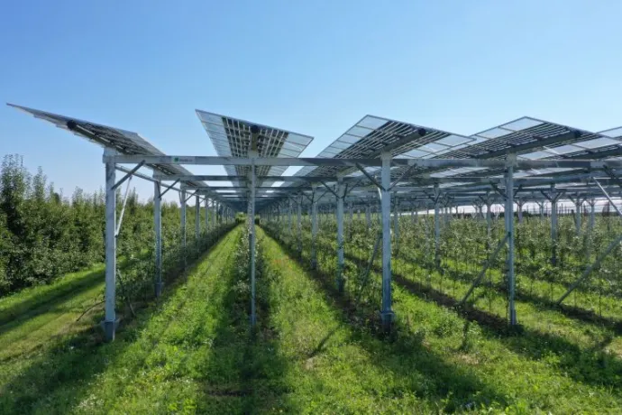 AGRIVOLTAICO PER CREARE INDIPENDENZA ENERGETICA: LA SOLUZIONE