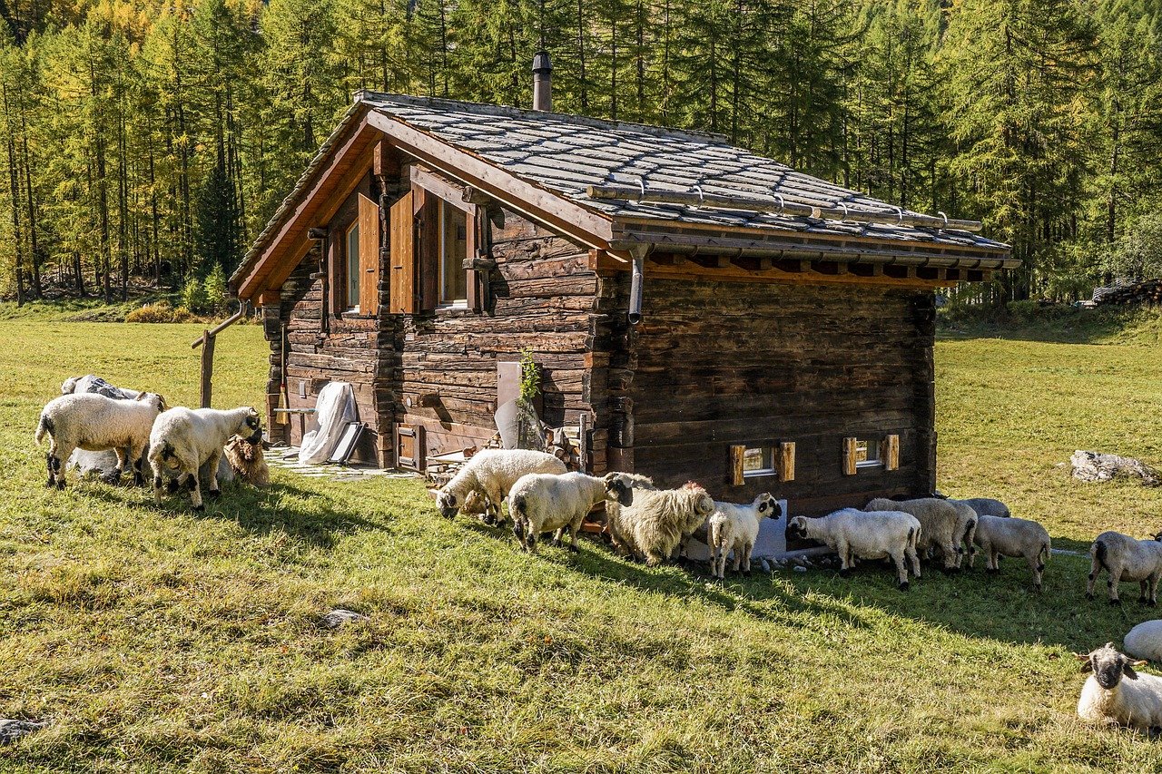 BAITE APERTE: tra natura e cibo per ammirare la Valle di Cembra