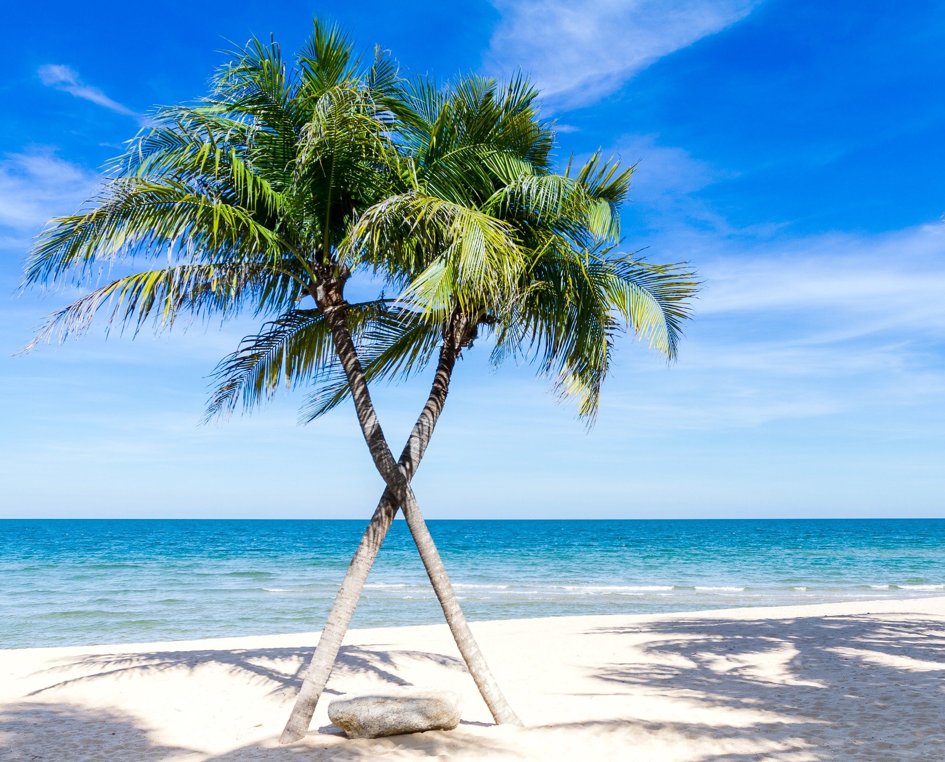 Ecco il primo viaggio che puoi fare con #TDV: WATAMU BEACH