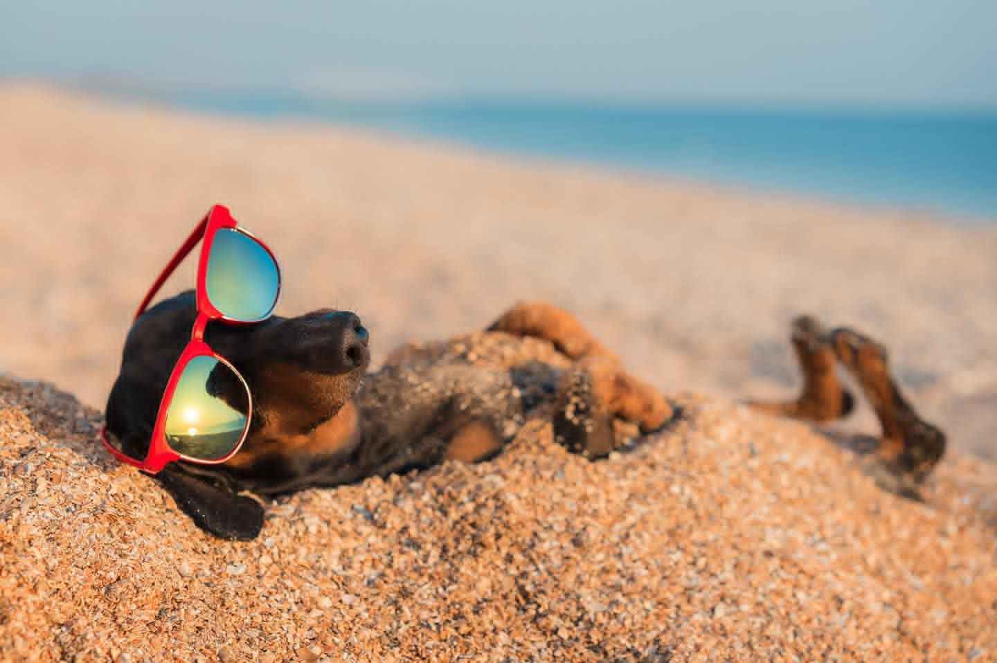 Bau Beach in Italia 2026: spiagge tra mare, laghi e fiumi
