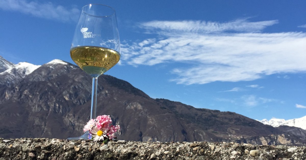 CANTINE APERTE IN TRENTINO-ALTO ADIGE