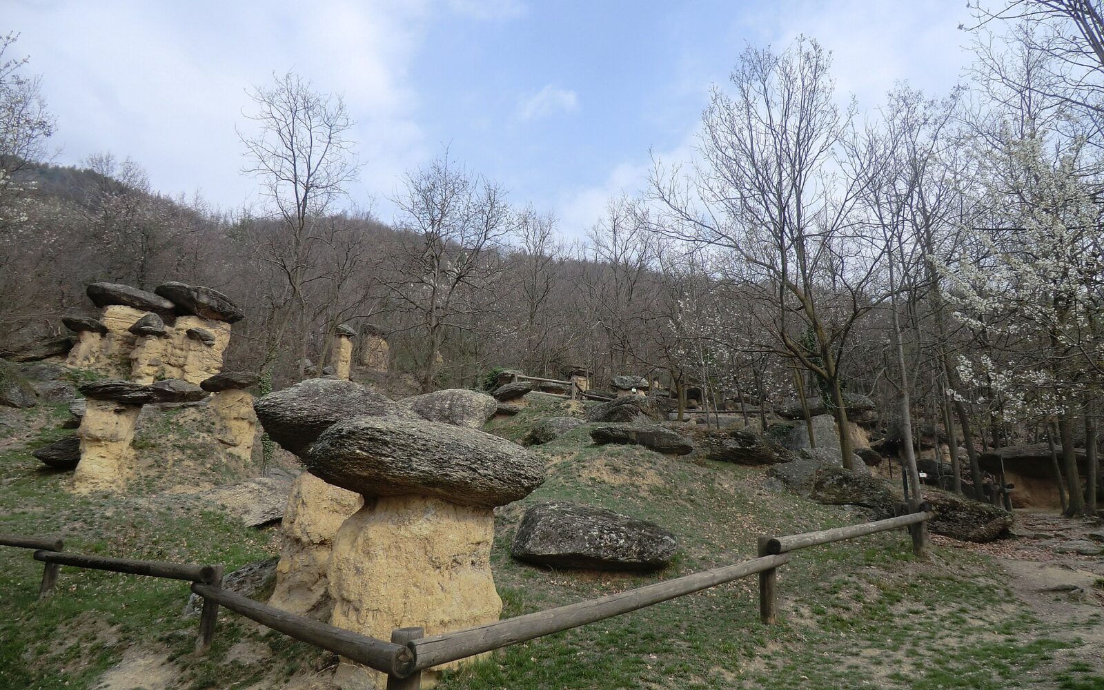 Ciciu del Villar: il bosco dei funghi di pietra in Piemonte