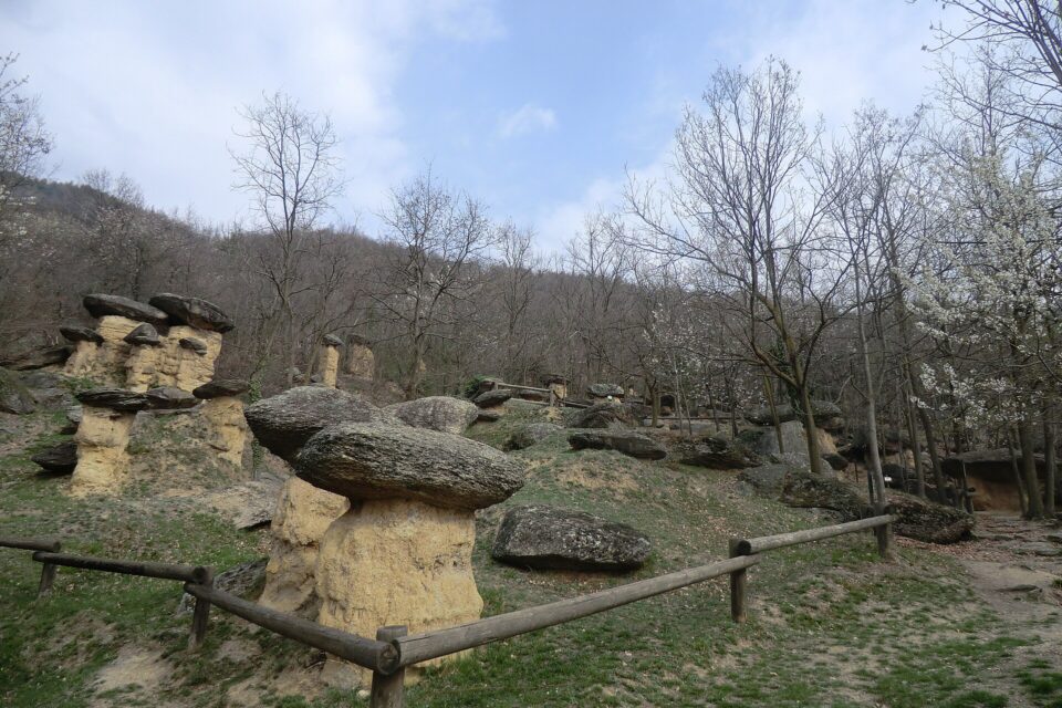 Ciciu del Villar: il bosco dei funghi di pietra in Piemonte