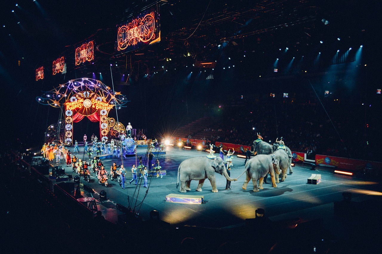 TORNA Psychiatric Circus a Trento: sicuri che sia solo uno spettacolo?
