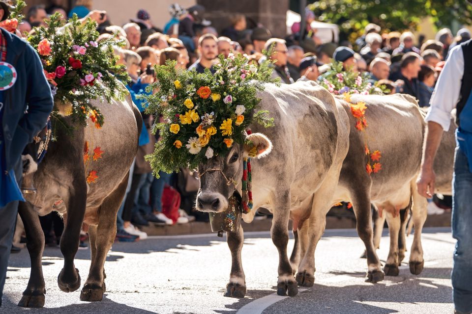 EVENTI FRA SETTEMBRE E OTTOBRE