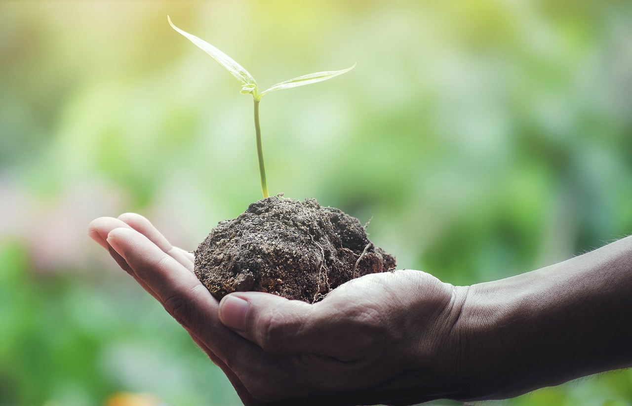 DISTRETTO BIOLOGICO TRENTINO – LA QUALITÀ COME STRATEGIA