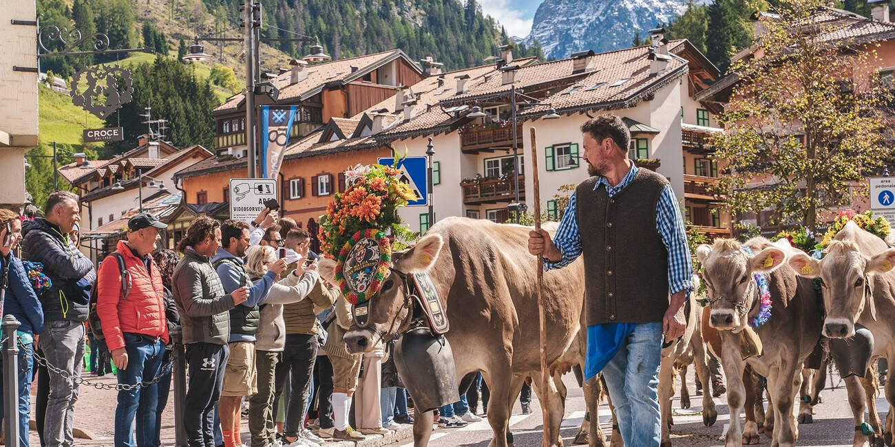Festival del Puzzone di Moena 2026: programma completo