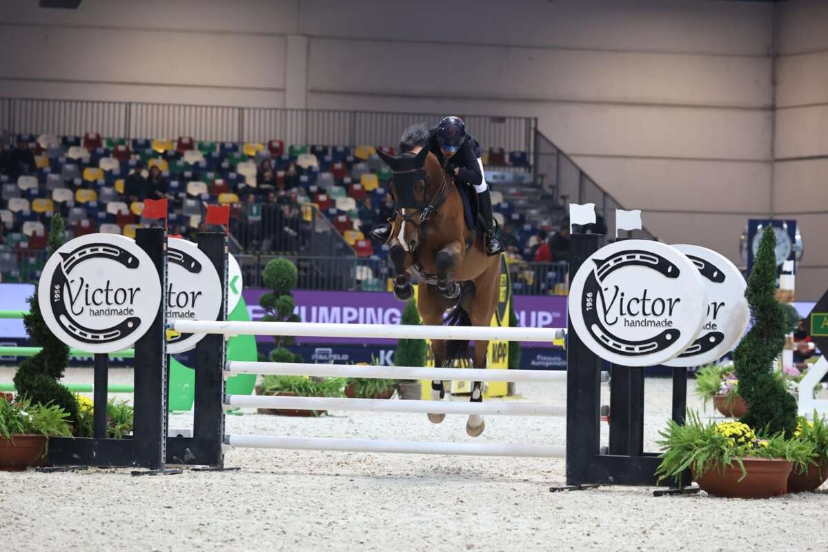 Fieracavalli 2026. Prima delle strade, il viaggio aveva il passo di un cavallo