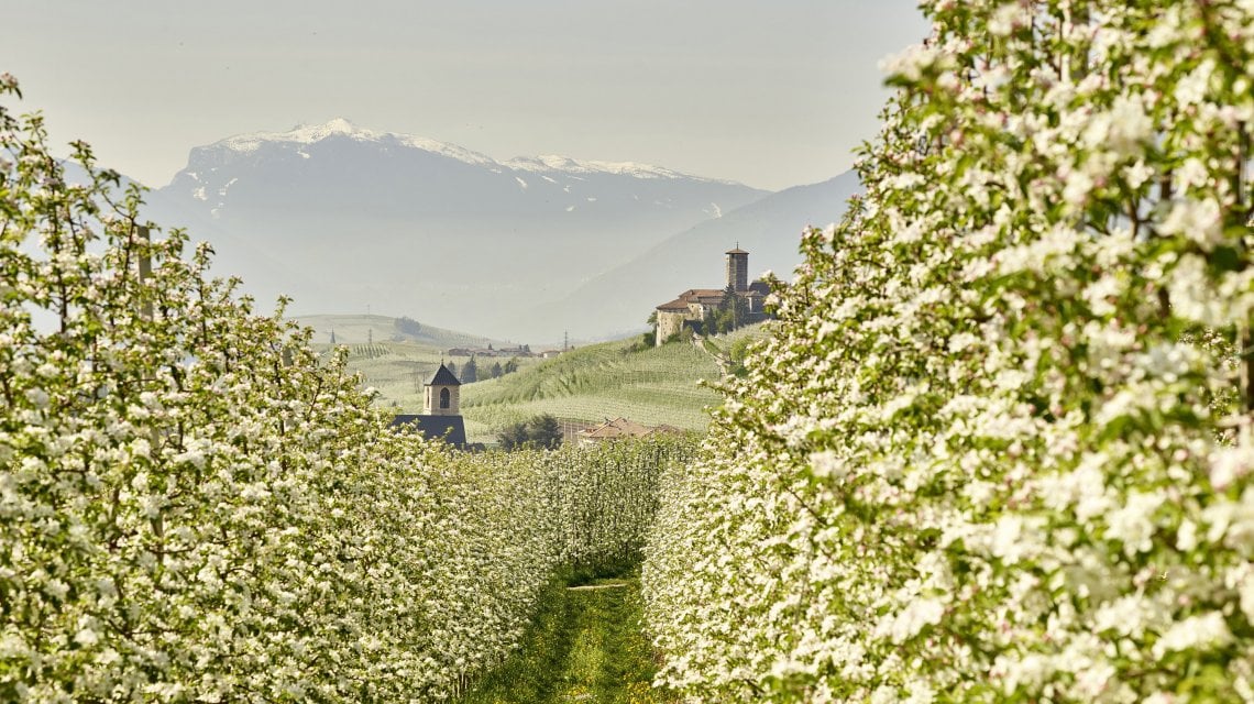 COSA FARE IN TRENTINO