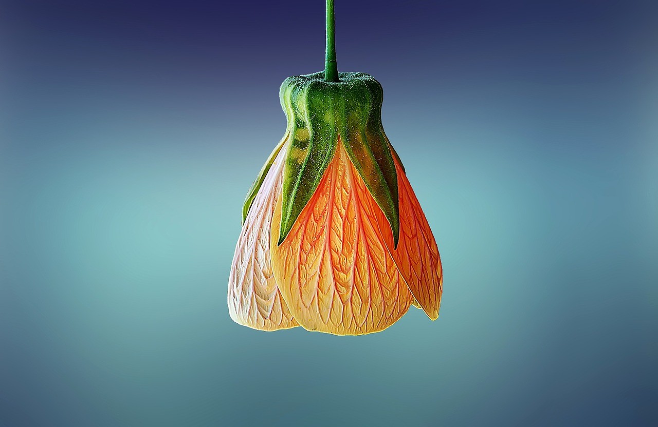 Botanica: scienza e musica si incontrano e danno spettacolo