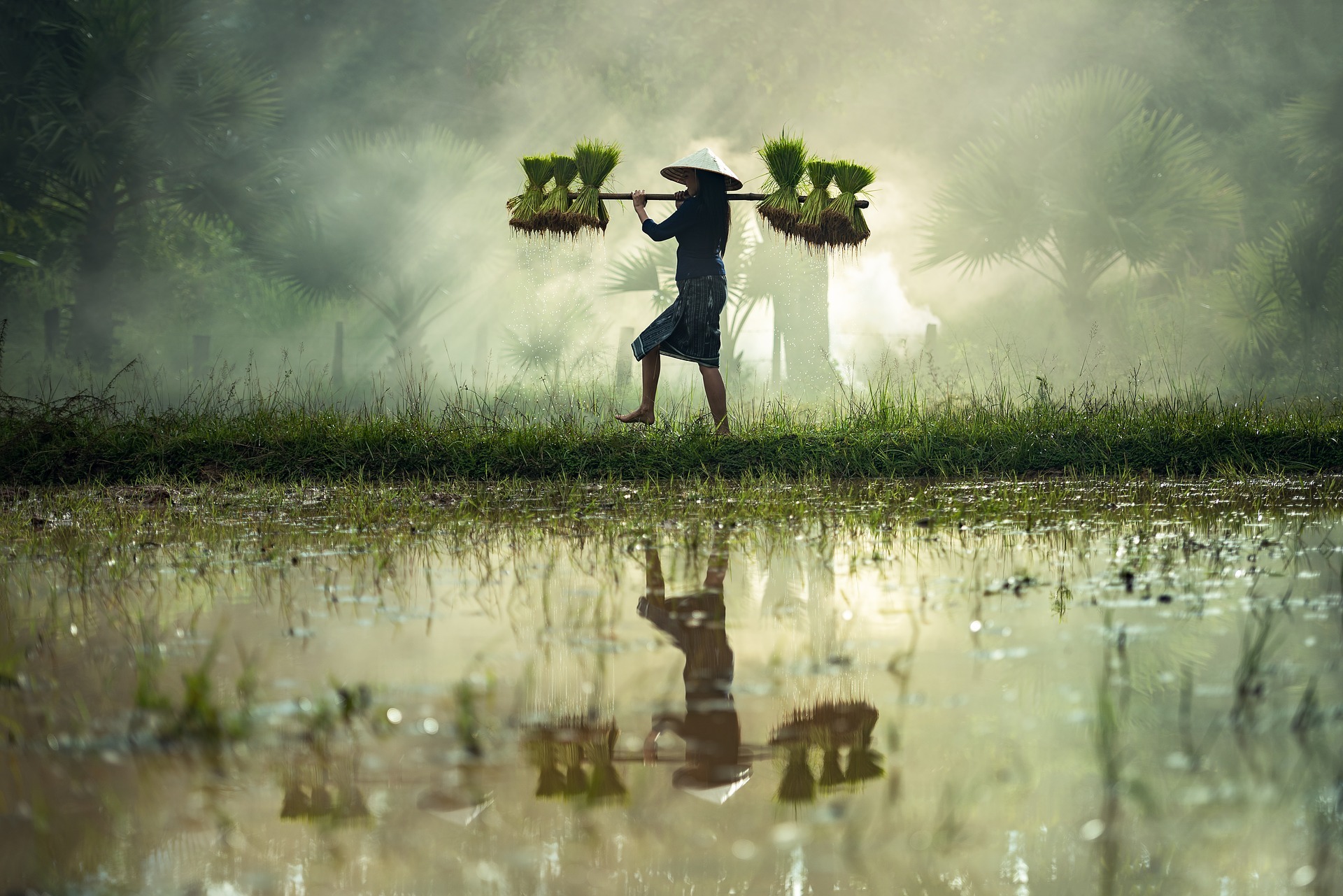 CRONACHE DI MYANMAR