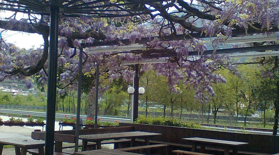 Giardino e glicine del Ristorante Angi a Canale di Pergine