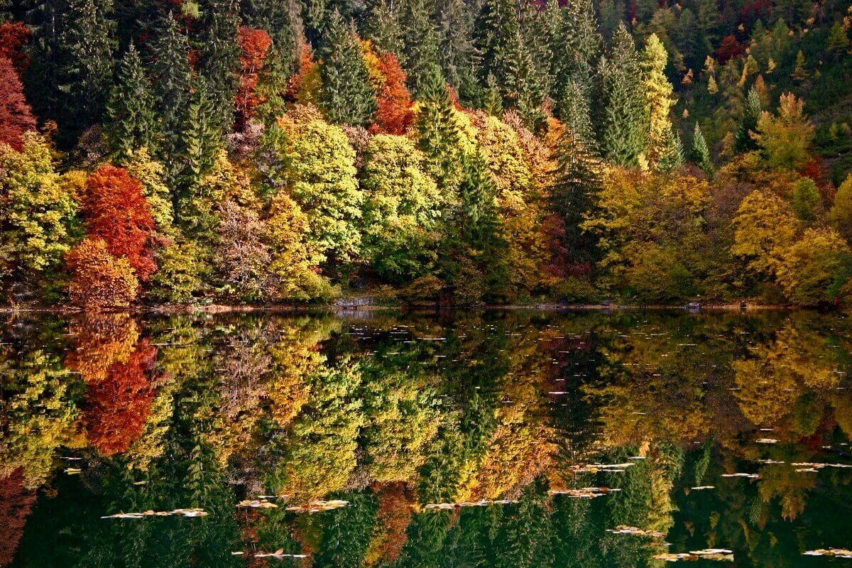 Foliage in Italia 2026: i 10 luoghi da fotografare almeno una volta in autunno