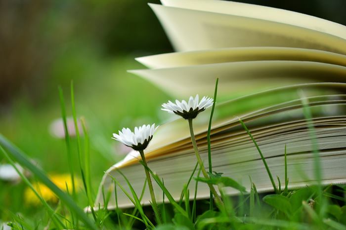 LETTURE SOTTO L’OMBRELLONE