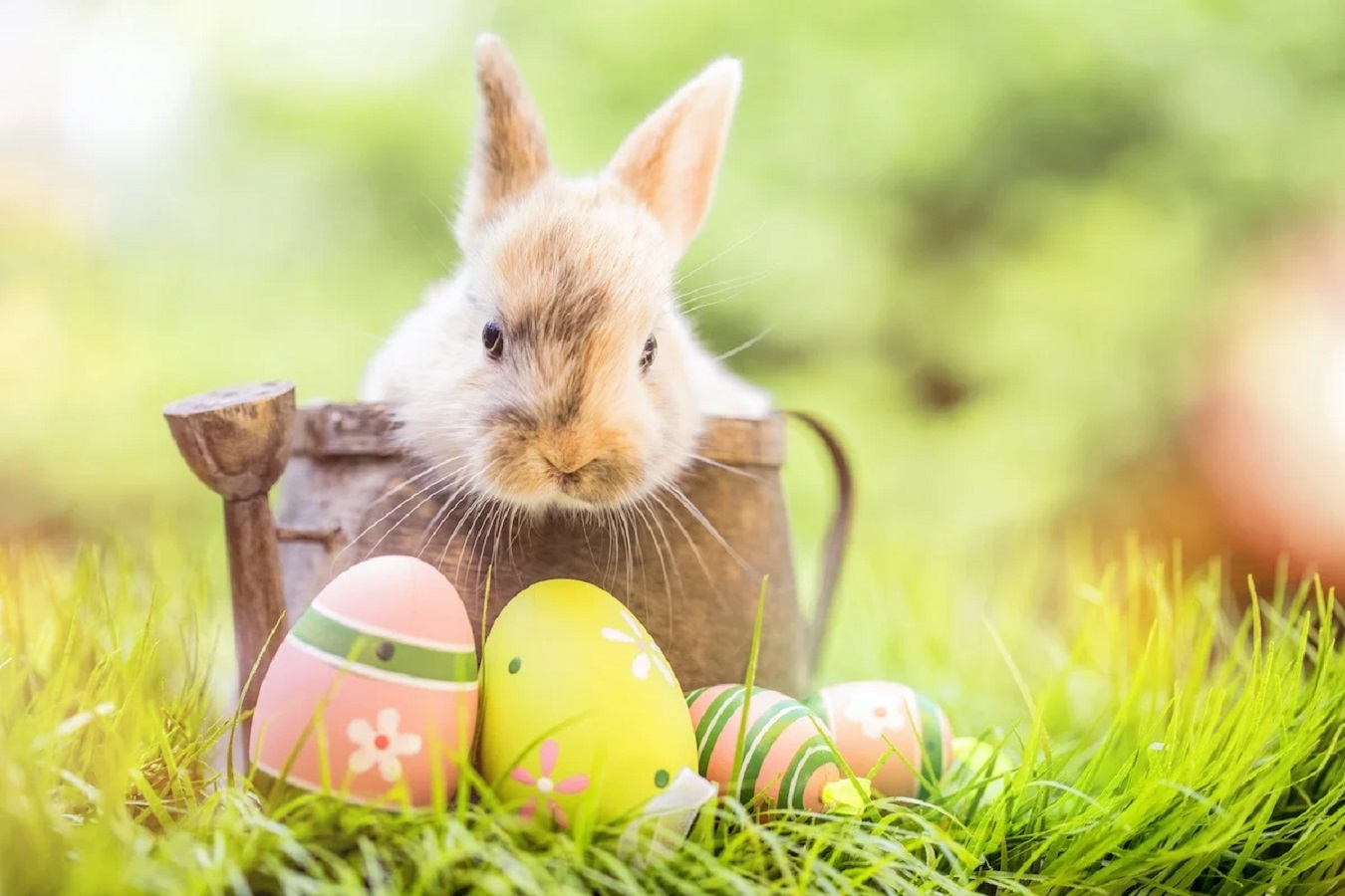 PASQUA IN TRENTINO