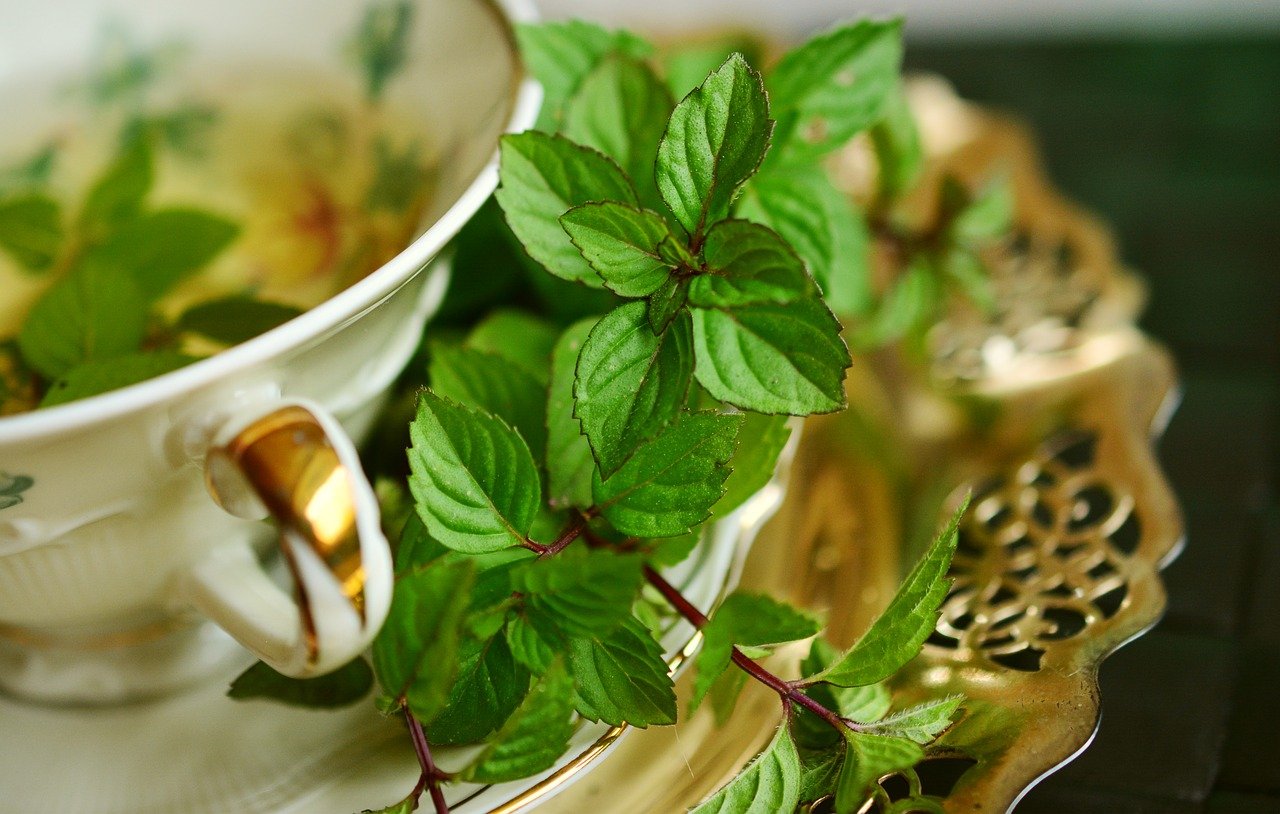 NON SOLO HUGO E MOJITO, LA MENTA E’ COME IL TUBINO NERO