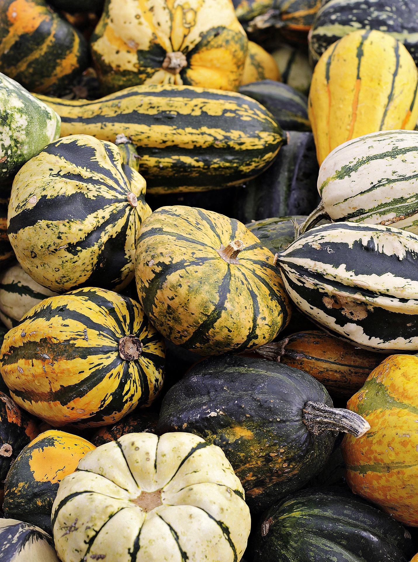 LA RICETTA DEI GNOCCHI DI ZUCCA – AUTUNNO BEN TORNATO