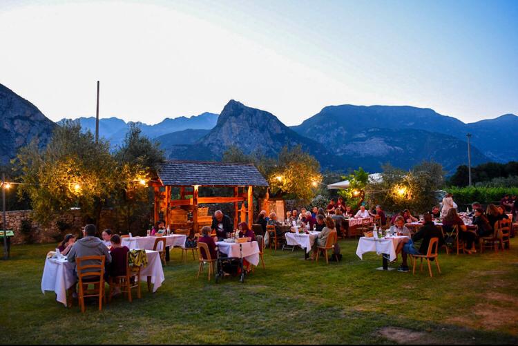 TRA VINO, NOTE E TRAMONTI: LE SERATE D’INCANTO ALLA CANTINA PISONI