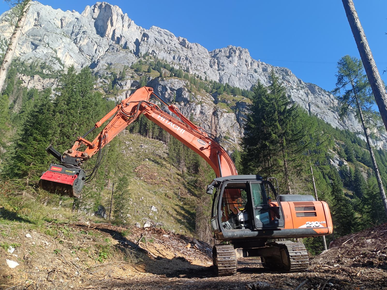 Cerchi qualcuno per lavori forestali, bonifiche e sgombero neve?