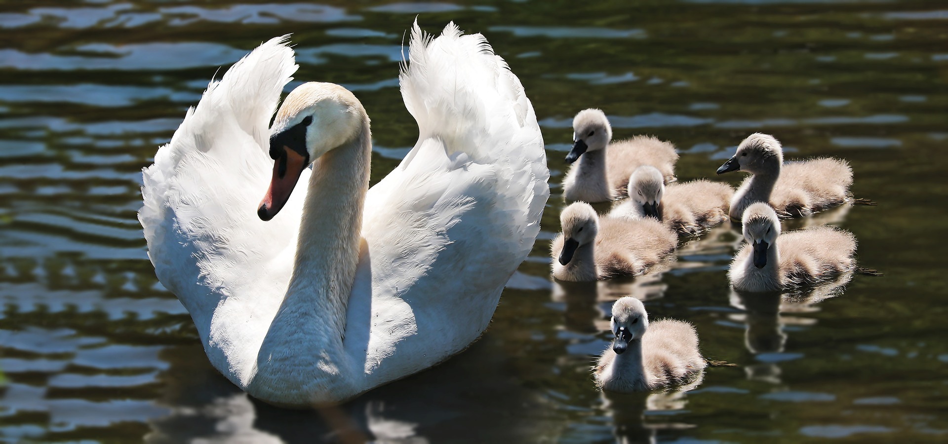 FAMILY TIME: ATTIVITA’ OUTDOOR PER TUTTA LA FAMIGLIA