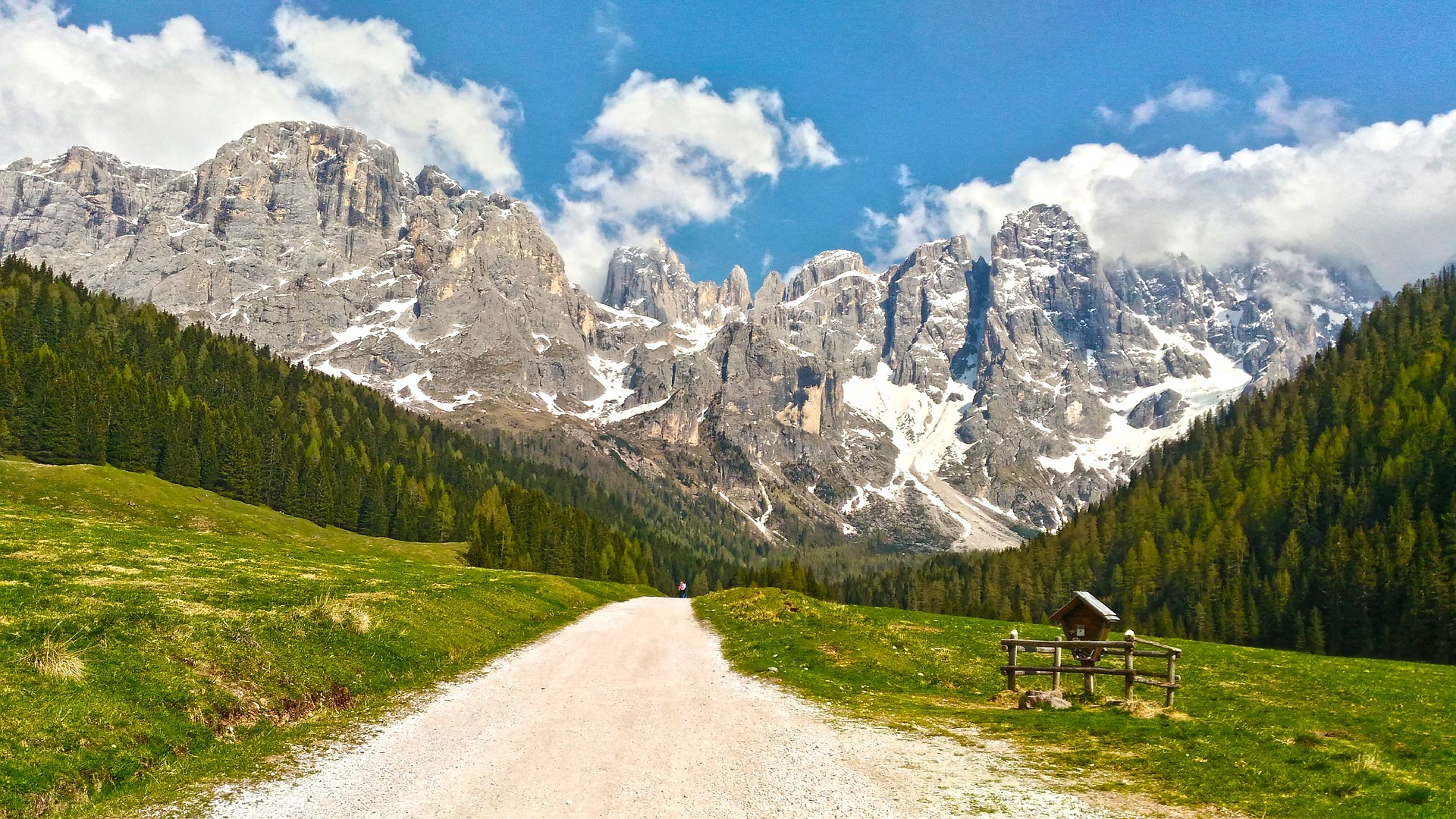 COSA SI NASCONDE SUL LATEMAR? QUEST’ESTATE VE LO SVELANO I CUCCIOLI D’OM SELVADECH!