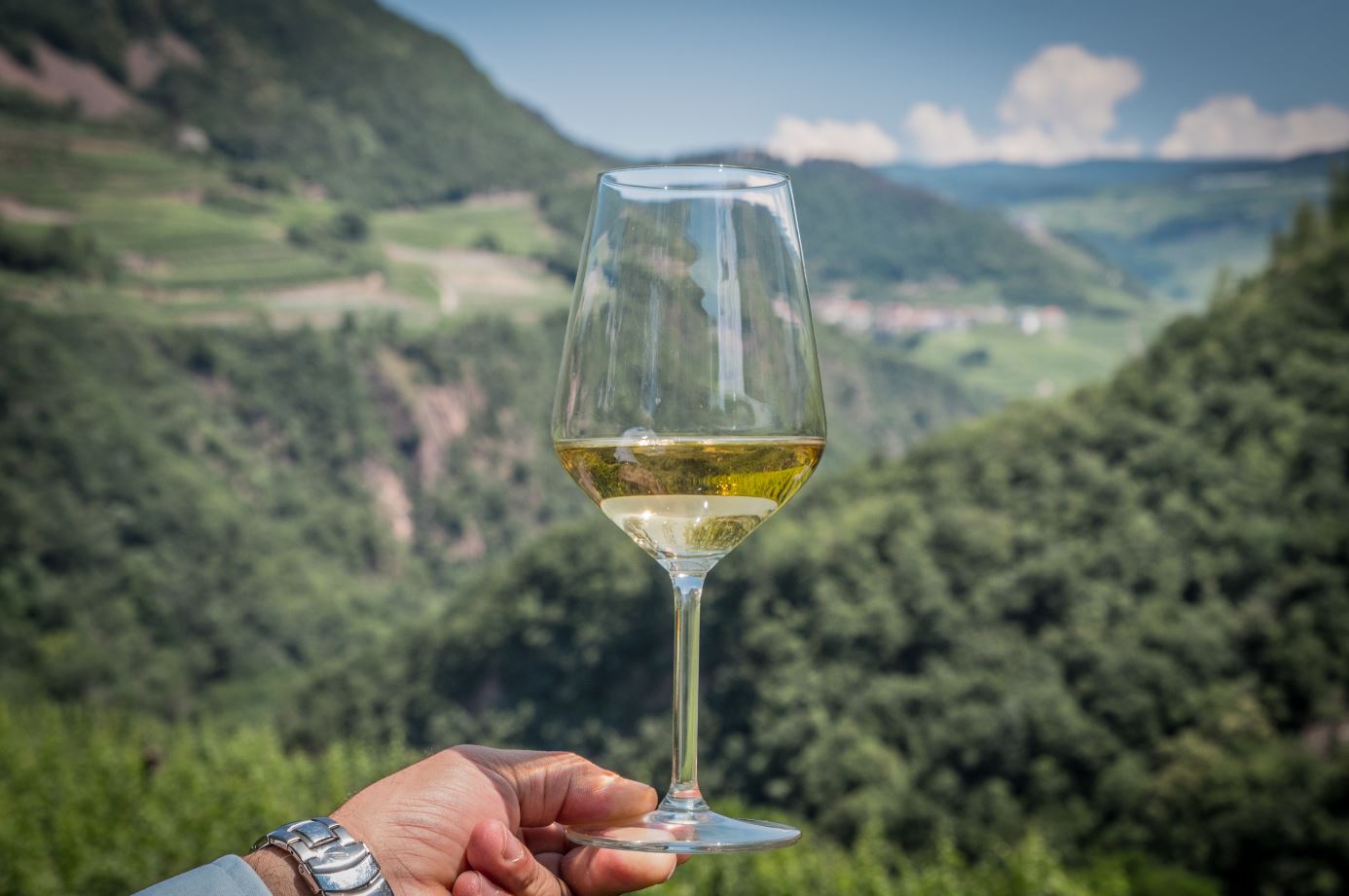 BAITI EN FESTA 2023 – I VINI E LE GRAPPE DELLA VAL DI CEMBRA TI ATTENDONO