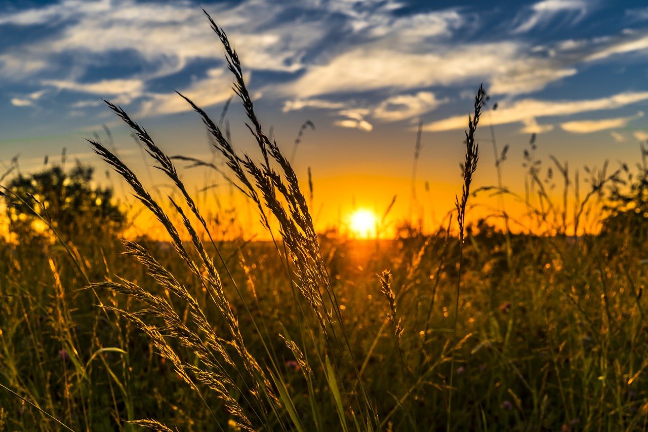 69esima edizione mostra dell’Agricoltura