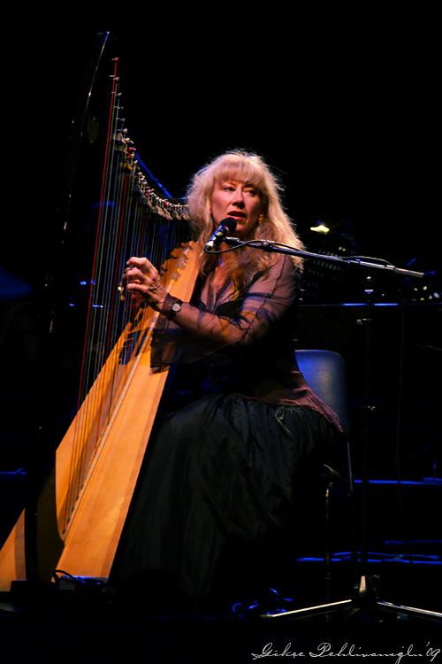 WORLD MUSIC FESTIVAL EDIZIONE 2024